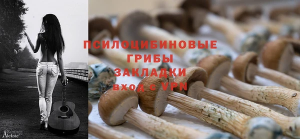 соль курить ск Алзамай