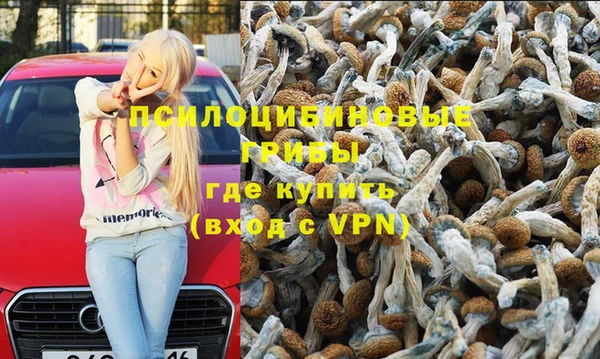 соль курить ск Алзамай