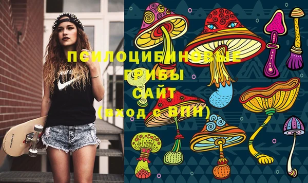 соль курить ск Алзамай