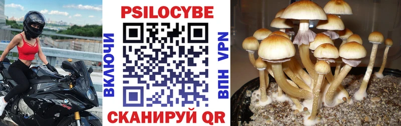 Псилоцибиновые грибы мухоморы Стародуб