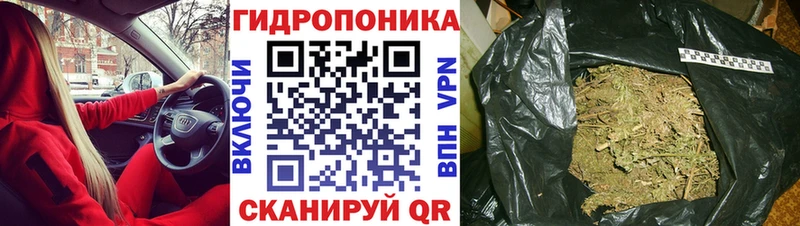 mega онион  Стародуб  МАРИХУАНА Bruce Banner 